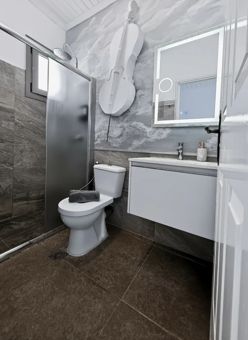 Studio 12: bright private bathroom with a walk-in shower