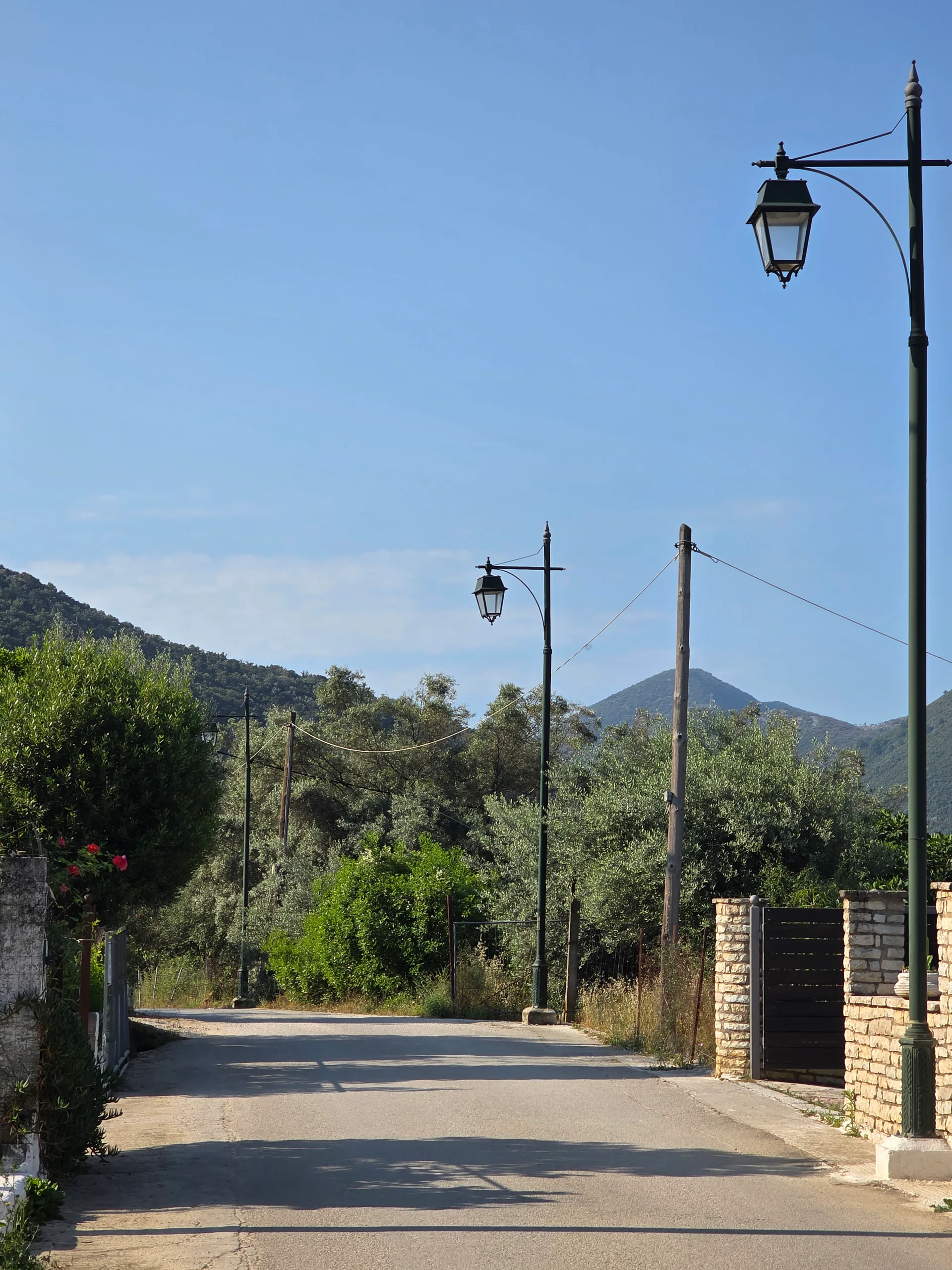 A quiet morning lane through olive trees and hills in Geni, Lefkada
